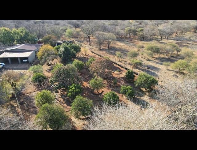FARM FOR SALE IN THABAZIMBI RURAL
